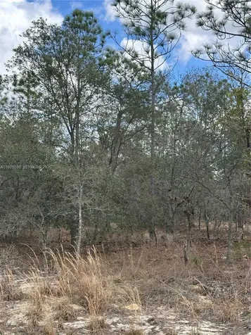 Other City - In The State Of Florida FL 34431