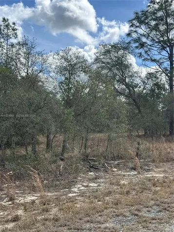 Ocala FL 34481