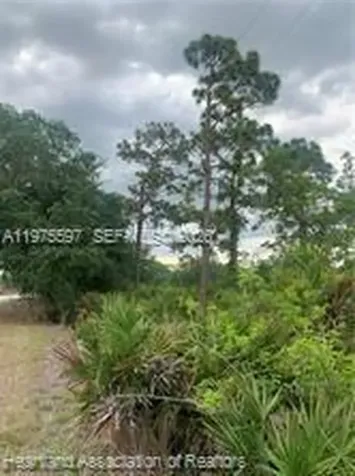 615 Wildflower Street Lake Placid FL 33852