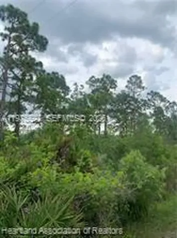615 Wildflower Street Lake Placid FL 33852