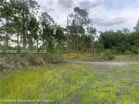615 Wildflower Street Lake Placid FL 33852