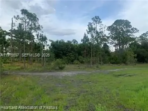 615 Wildflower Street Lake Placid FL 33852