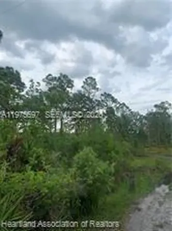 615 Wildflower Street Lake Placid FL 33852