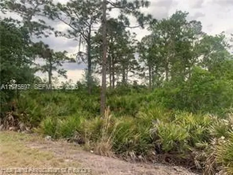 615 Wildflower Street Lake Placid FL 33852