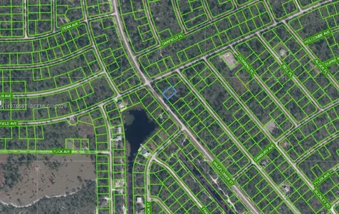 615 Wildflower Street Lake Placid FL 33852