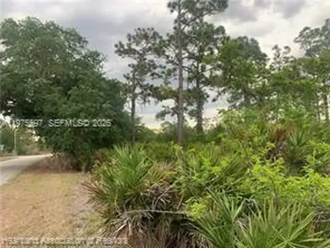 615 Wildflower Street Lake Placid FL 33852