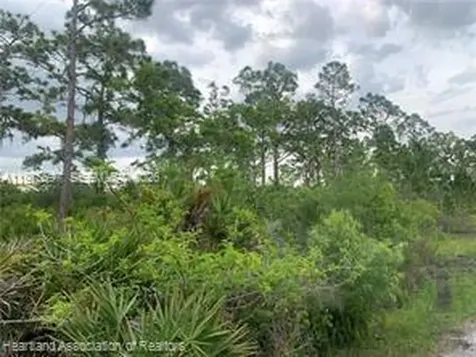 615 Wildflower Street Lake Placid FL 33852