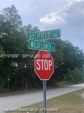 615 Wildflower Street Lake Placid FL 33852