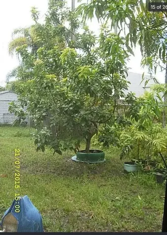 16501 SW 102nd Court Miami FL 33157
