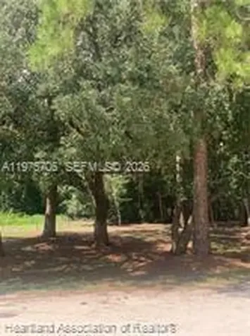 2326 W Barben Road Avon Park FL 33825