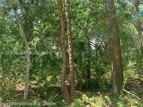 2326 W Barben Road Avon Park FL 33825