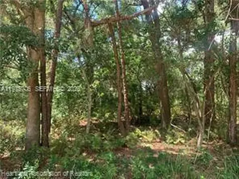 2326 W Barben Road Avon Park FL 33825