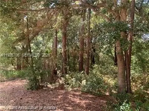 2326 W Barben Road Avon Park FL 33825