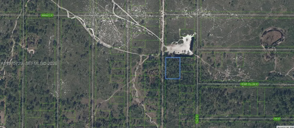 881 Papaya Street Lake Placid FL 33852
