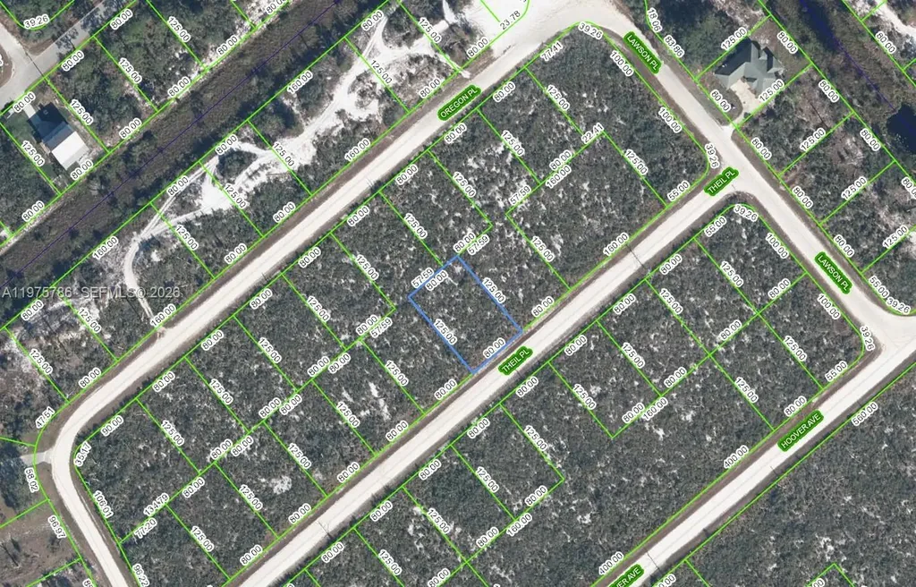 3147 Theil Place Lake Placid FL 33852