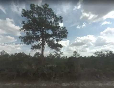 3147 Theil Place Lake Placid FL 33852