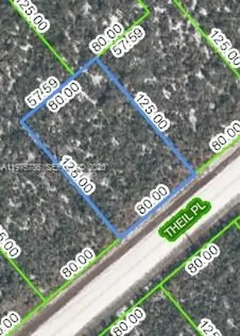 3147 Theil Place Lake Placid FL 33852