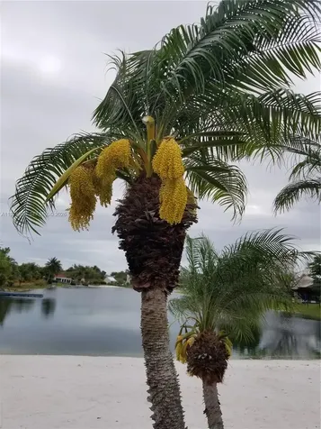 1361 Sandpiper Boulevard Homestead FL 33035