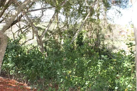 3857 Tree Top Drive Weston FL 33332