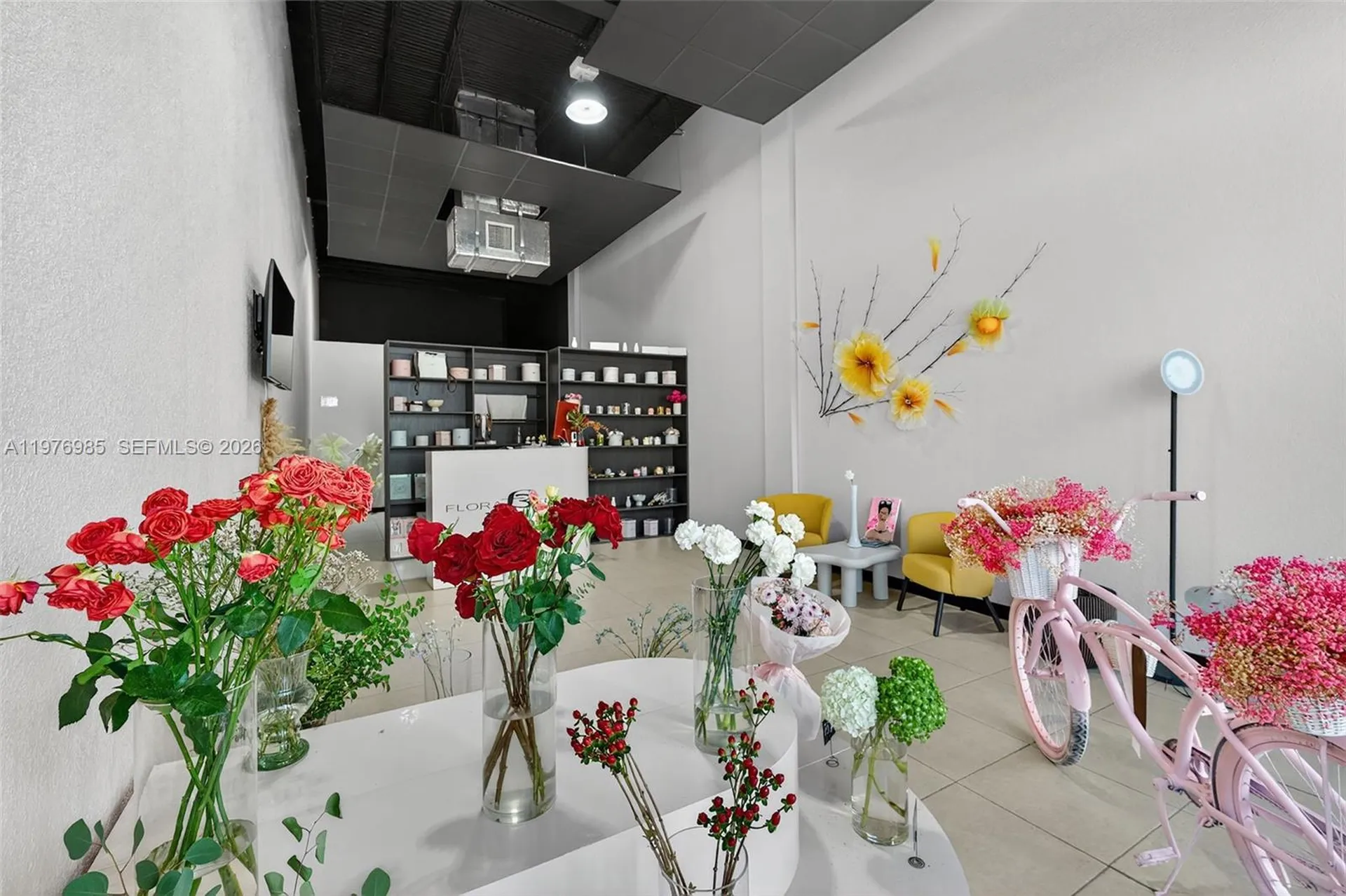 3302 NE 34th Street Fort Lauderdale FL 33308