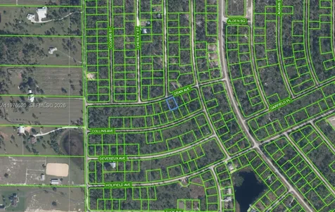 3238 Dean Avenue Lake Placid FL 33852