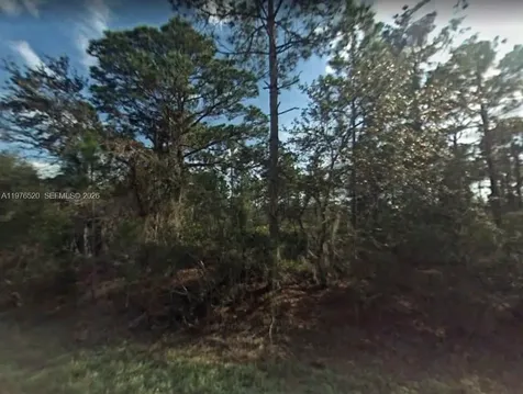 3238 Dean Avenue Lake Placid FL 33852