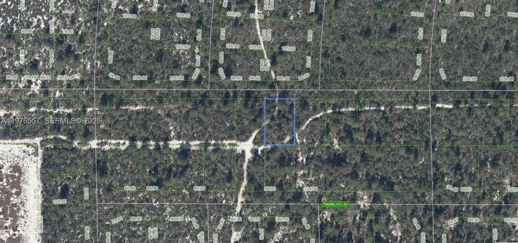 437 Souvenir Lane Lake Placid FL 33852
