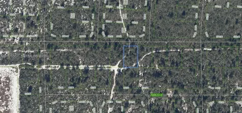 437 Souvenir Lane Lake Placid FL 33852