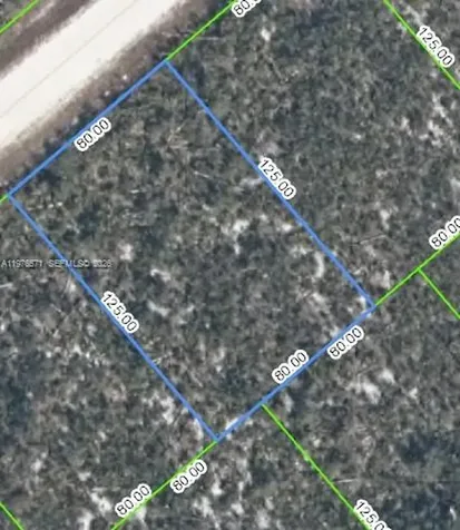 3154 Oregon Place Lake Placid FL 33852