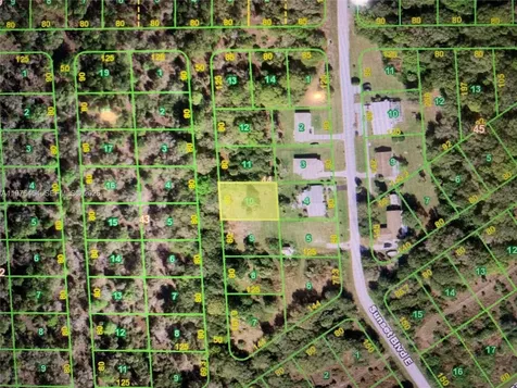 234 Rhythm Drive Lake Placid FL 33852