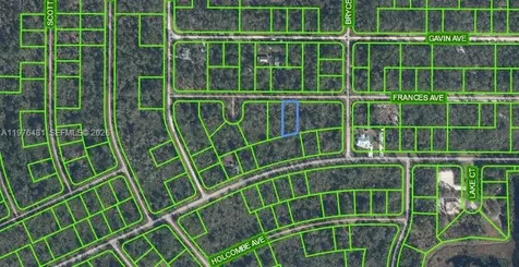 Lake Placid FL 33852
