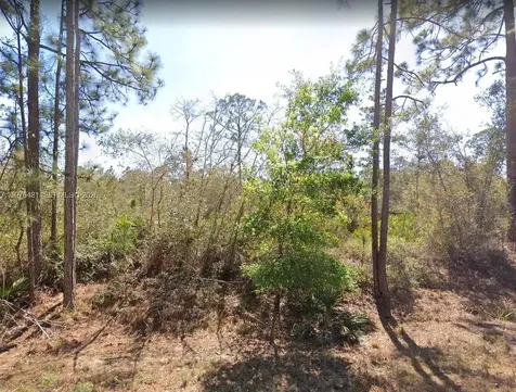 Lake Placid FL 33852