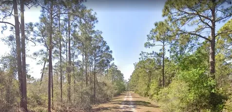 Lake Placid FL 33852