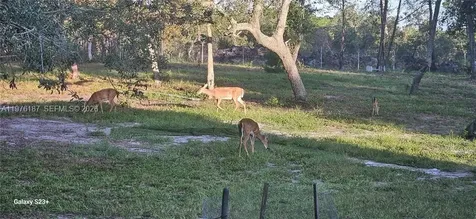 40140 Swift Road Other City - In The State Of Florida FL 32736