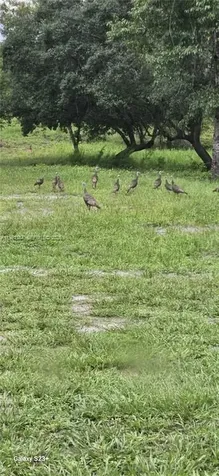 40140 Swift Road Other City - In The State Of Florida FL 32736