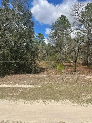 Ocala FL 34481