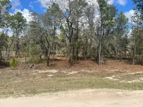 Ocala FL 34481