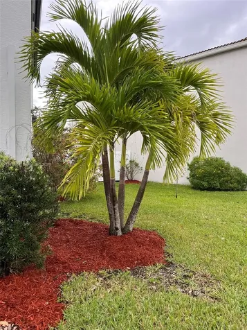 933 NE 191st Street Miami FL 33179