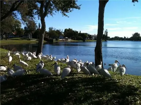 Lauderhill FL 33319