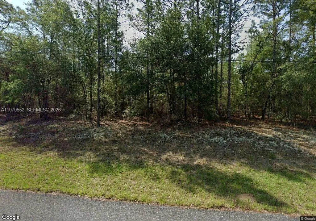 208 W Ruska Place Citrus Springs FL 34434