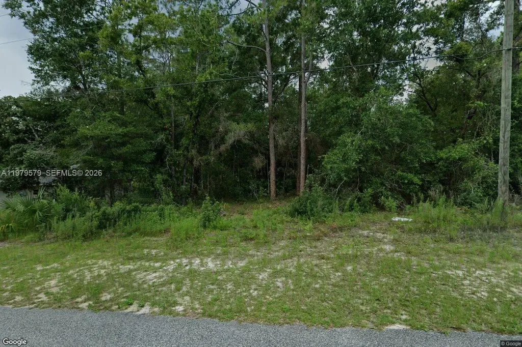 10684 N Burbank Avenue Citrus Springs FL 34434