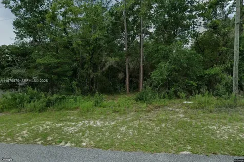 10684 N Burbank Avenue Citrus Springs FL 34434