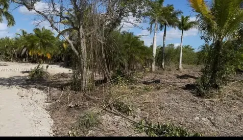 406 Street & 212 Avenue 406 Street & 212 Avenue Florida City FL 33034