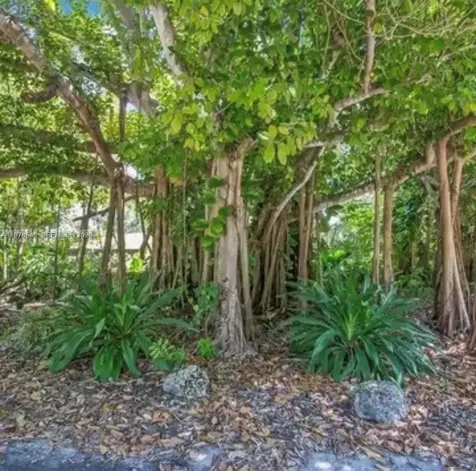 4895 SW 88th Street Miami FL 33156