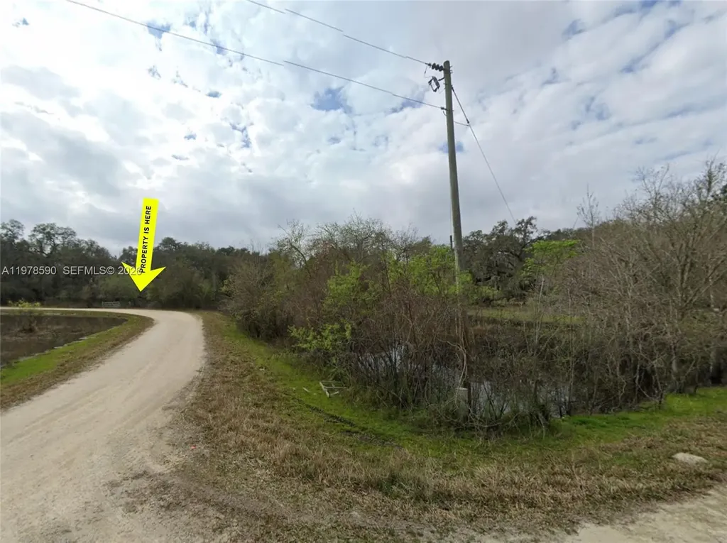 0 Coley Street Other City - In The State Of Florida FL 33697