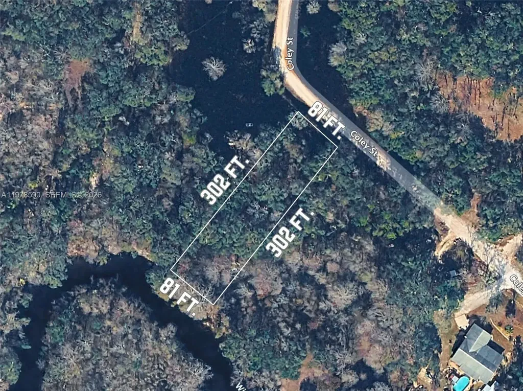 0 Coley Street Other City - In The State Of Florida FL 33697