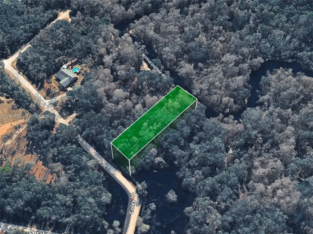 0 Coley Street Other City - In The State Of Florida FL 33697