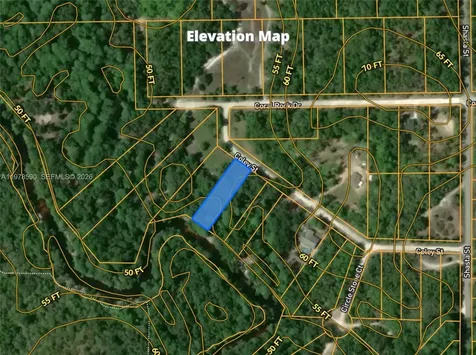 0 Coley Street Other City - In The State Of Florida FL 33697