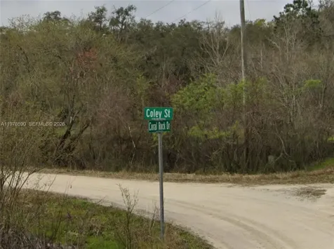 0 Coley Street Other City - In The State Of Florida FL 33697