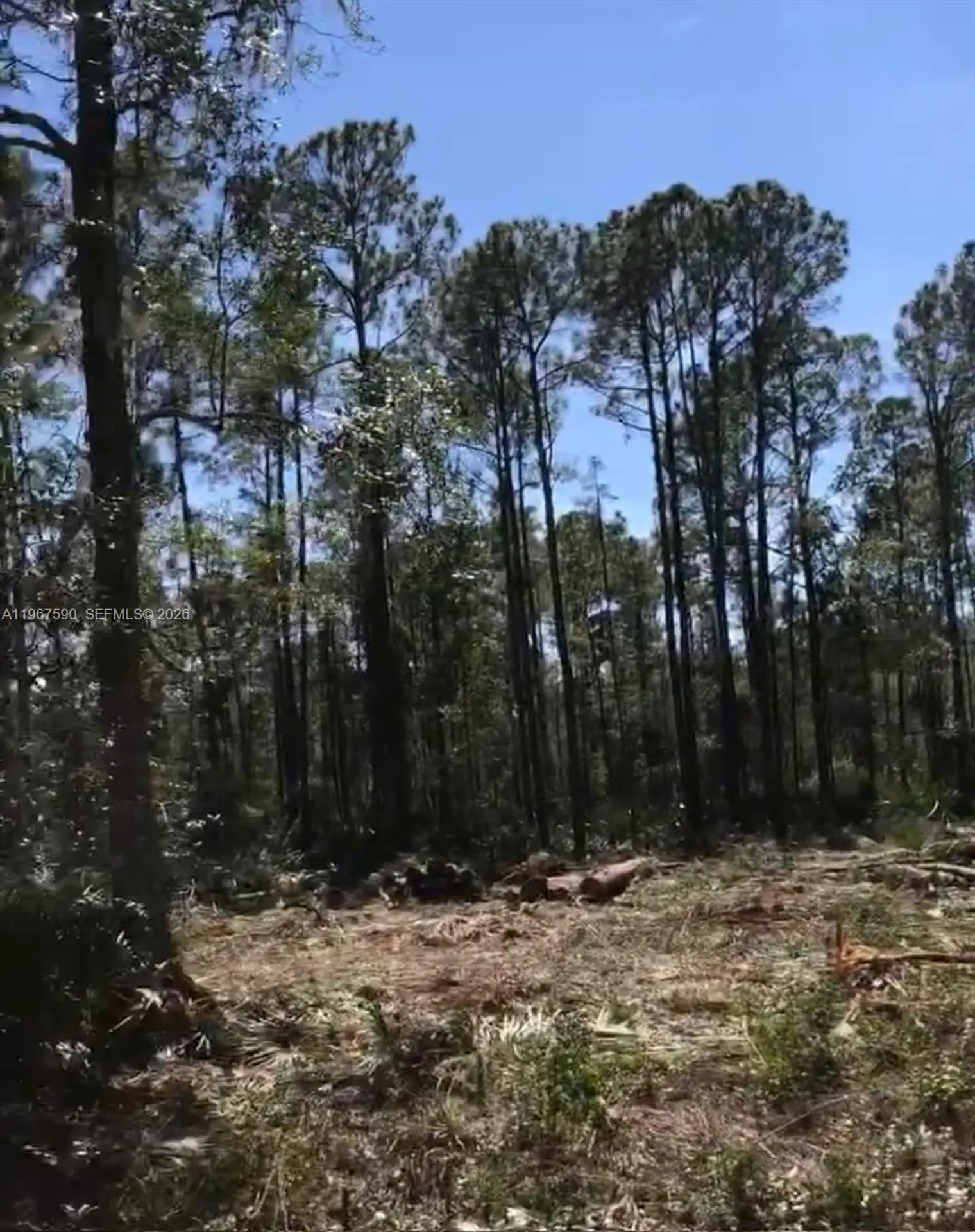 216 Marie Avenue Other City - In The State Of Florida FL 32139